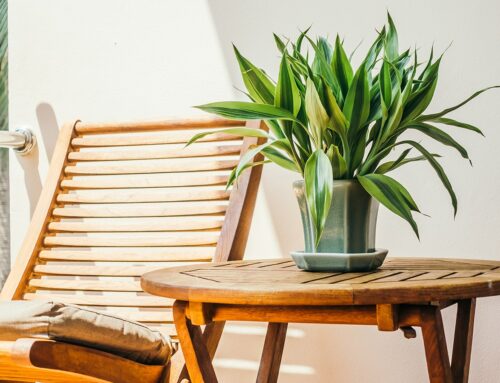 Post format video blogs